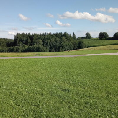 Provisionsfrei - Baugrund im Mischbaugebiet ohne Bauzwang - Wohn- und Arbeitsmöglichkeit kombiniert (neuer Preis)