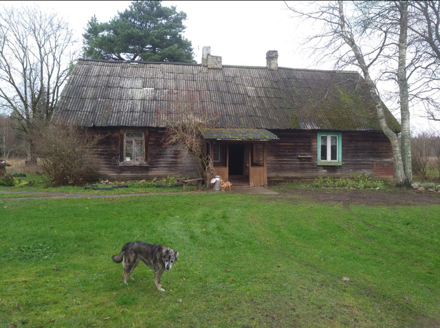 „Die Socken meiner Mutter“ ein Beweis von Fleiß, Herz und Qualität – Bild 2