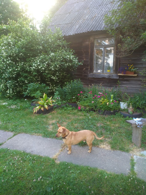 „Die Socken meiner Mutter“ ein Beweis von Fleiß, Herz und Qualität – Bild 3