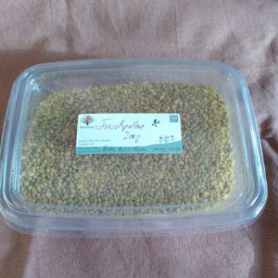 Frischpollen – pure Blütenkraft