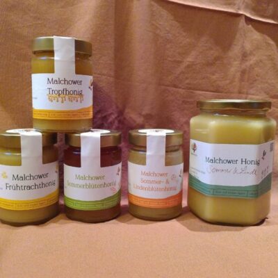 Honig – Jahreszeiten im Glas
