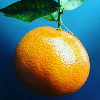 SATSuma