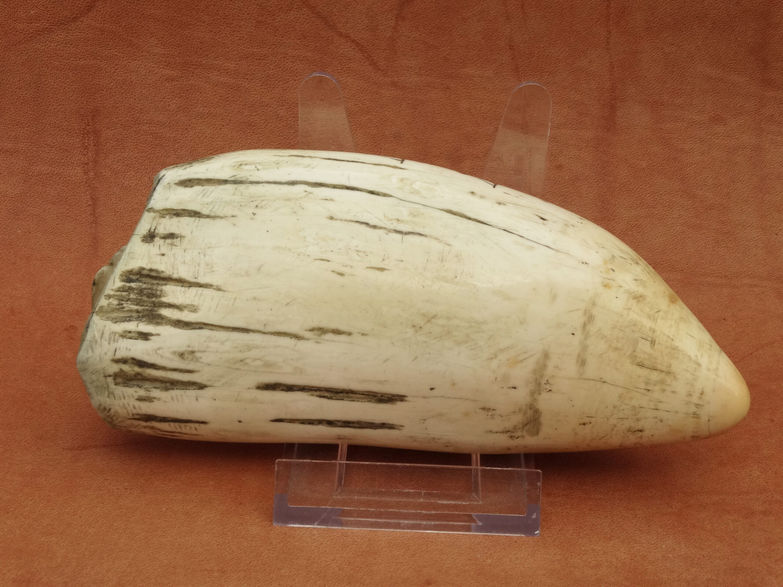 Antique Scrimshaw, 1860/1880, originaler alter Walzahn mit Schiffsmotiv, whale tooth – Bild 2