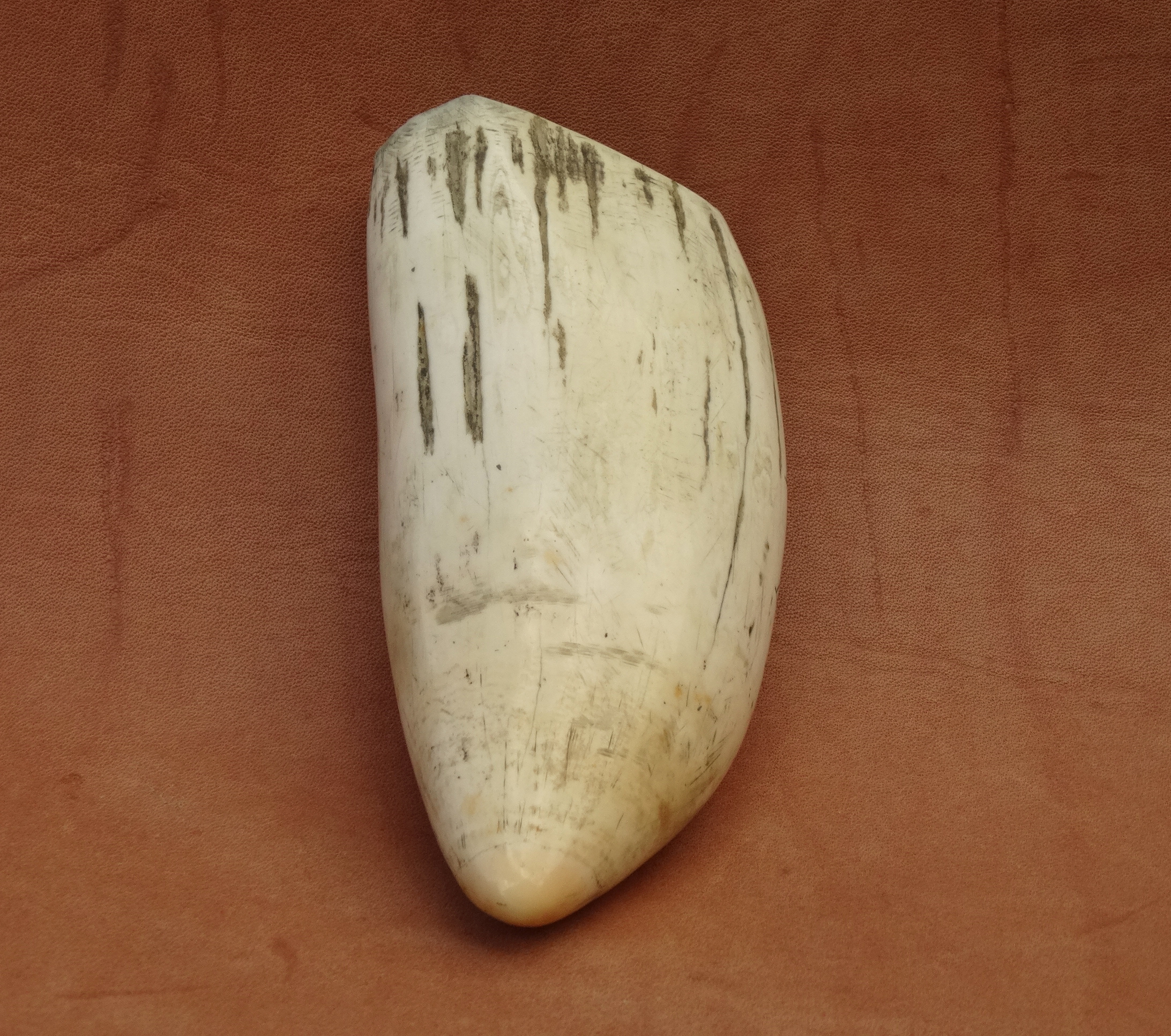 Antique Scrimshaw, 1860/1880, originaler alter Walzahn mit Schiffsmotiv, whale tooth – Bild 4