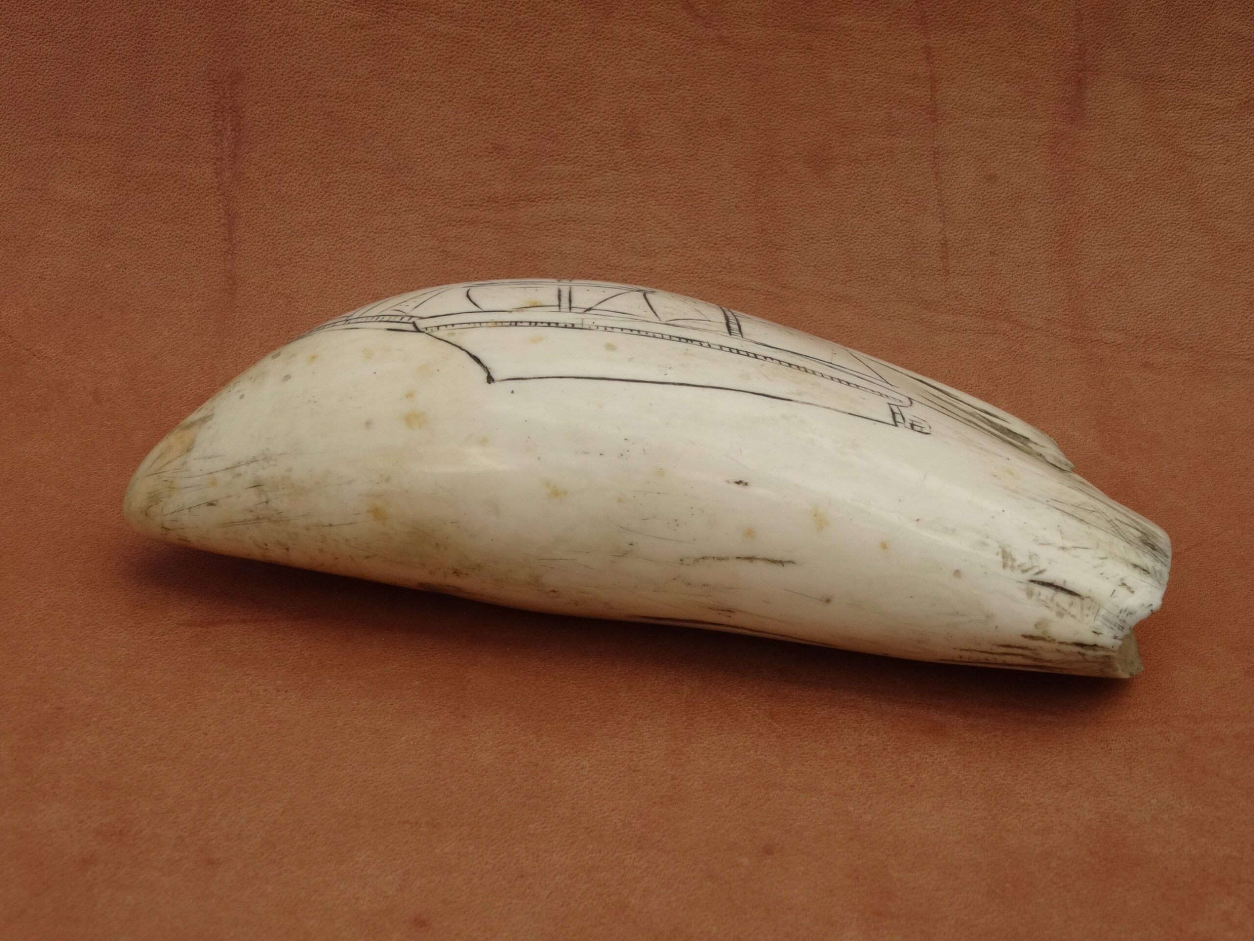 Antique Scrimshaw, 1860/1880, originaler alter Walzahn mit Schiffsmotiv, whale tooth – Bild 6