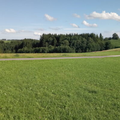 Provisionsfrei - Baugrund im Mischbaugebiet ohne Bauzwang - Wohn- und Arbeitsmöglichkeit kombiniert (neuer Preis)