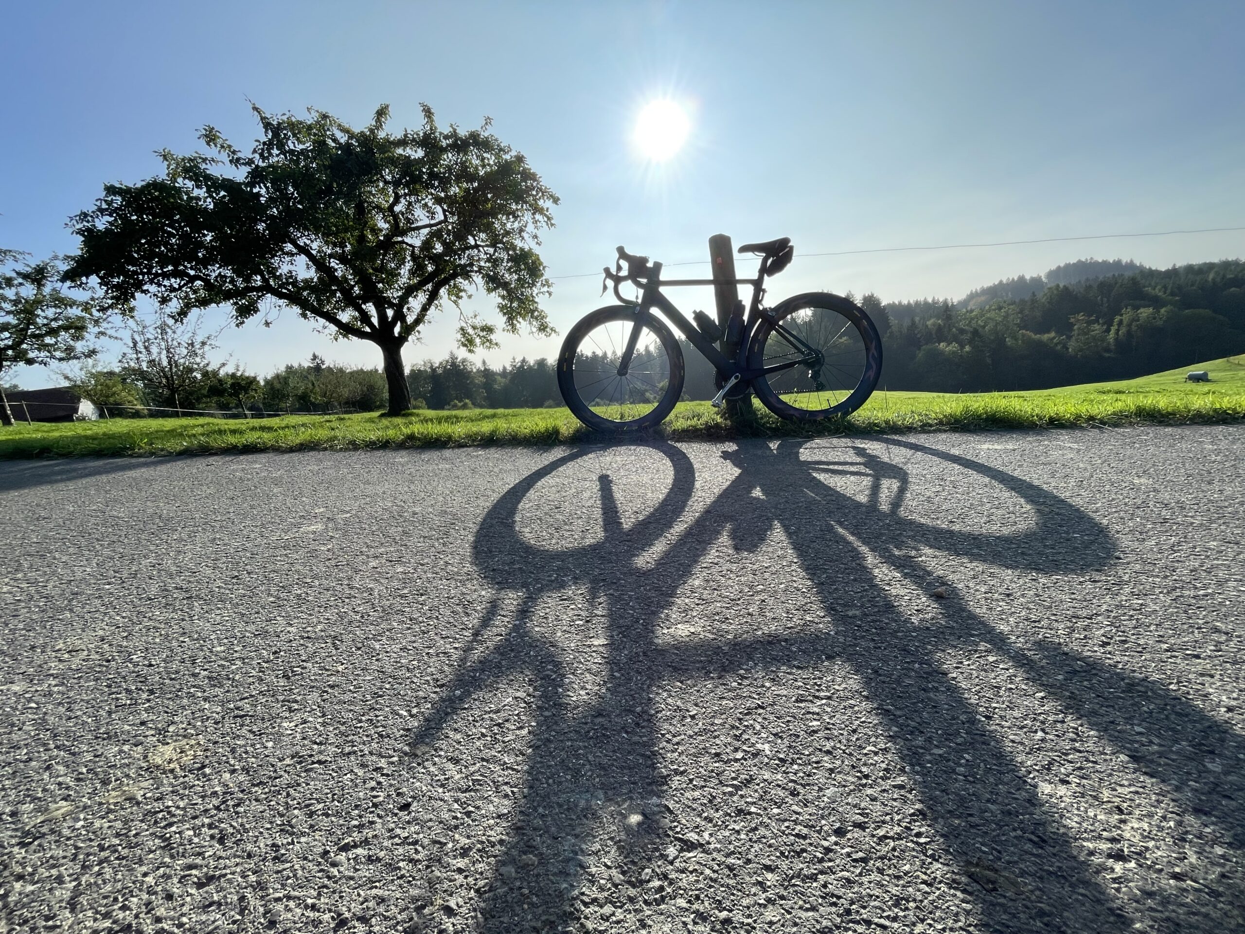 Canyon Aeroad CF SLX 9 Team – Bild 4