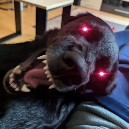 Tehjenz!